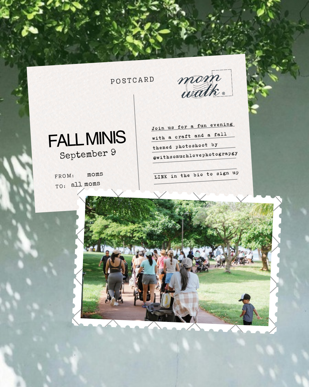 Fall Minis and Playdate at Head of the Mesa Trail. Parking along El Camino Montata and Live Oak Canyon Trail