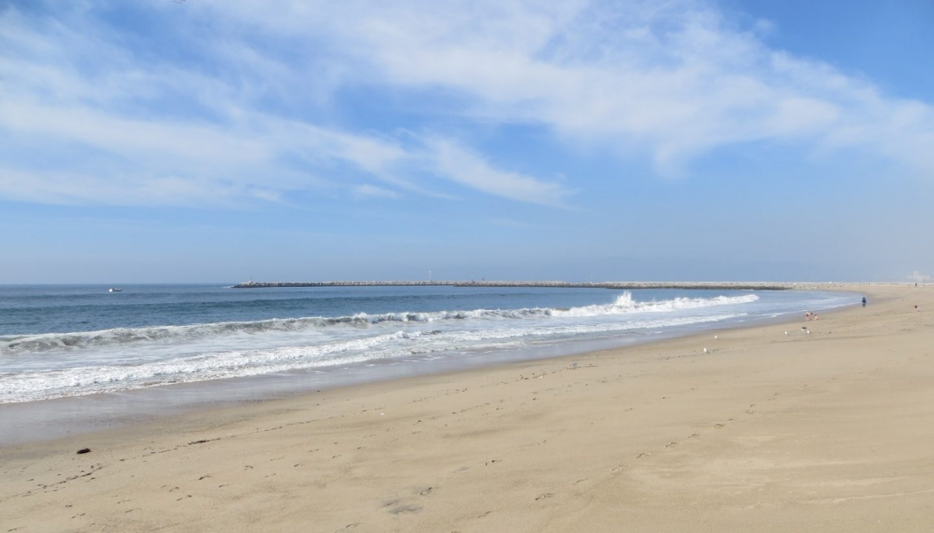 Family Walk in Playa del Rey at Playa Provisions