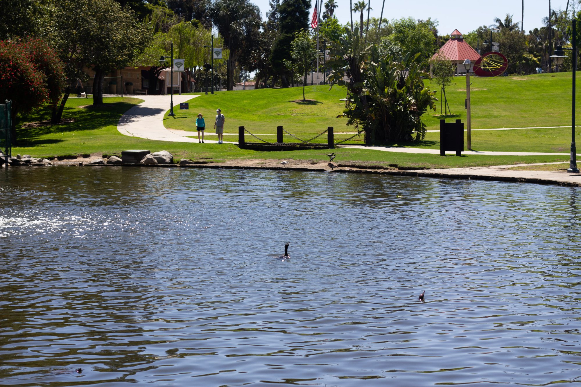 Polliwog Walk at Polliwog Park