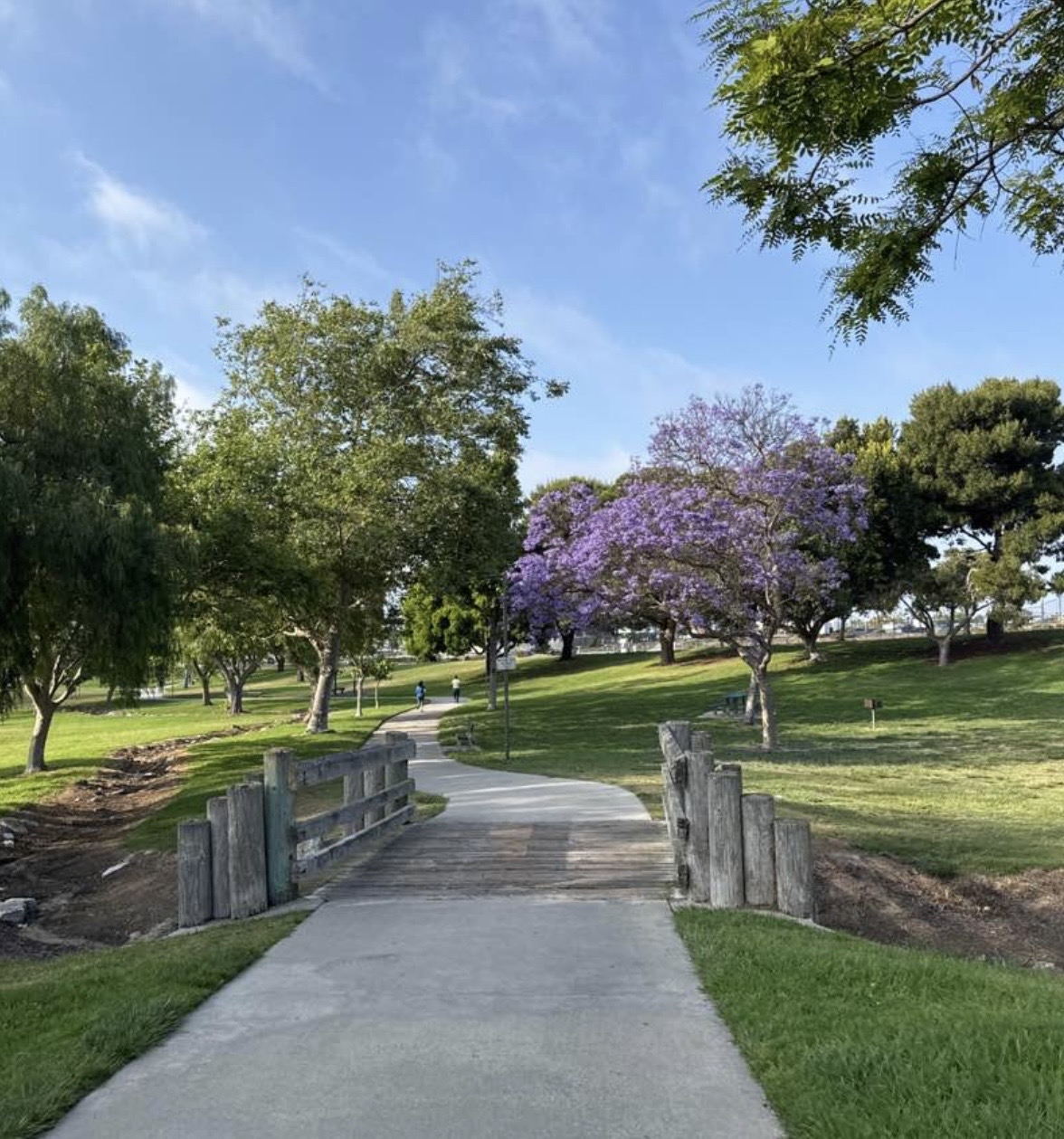 Tamistea x Delthorne Park at Tamistea
